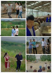 乡亲乡爱,共筑美好家园的温馨篇章