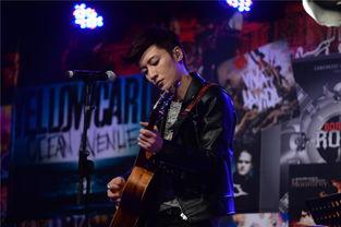 未知的心跳,探寻生命律动的奥秘