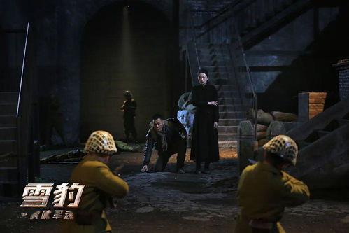 雪豹之虎啸军魂,铁血雄狮的传奇征程